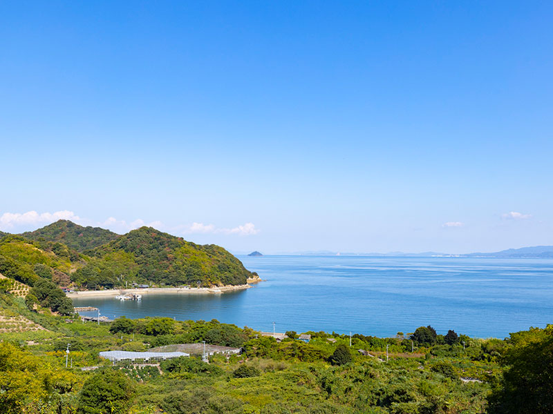 みかん栽培に適した土地「中島」