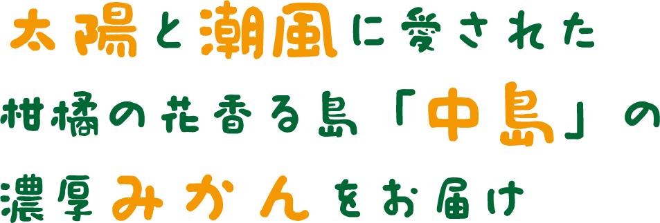 太陽と潮風に愛された柑橘の花香る島「中島」の濃厚みかんをお届け